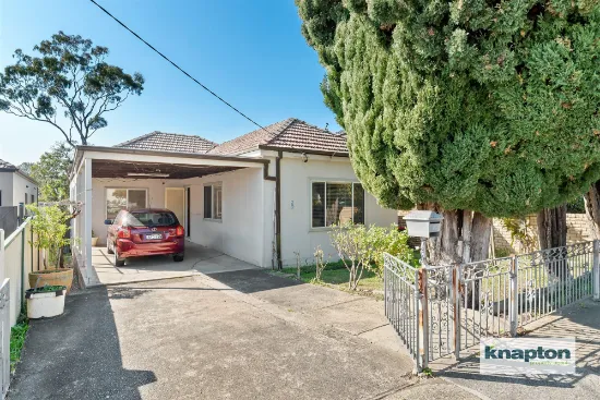 20 Dennis Street, Lakemba, NSW, 2195