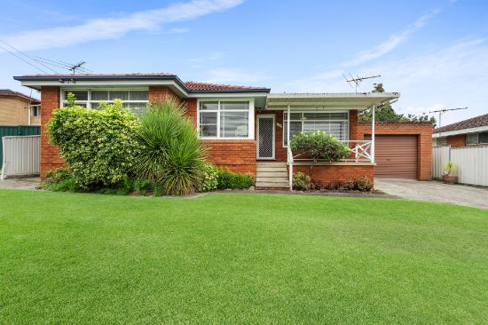 205 Meadows Road, Mount Pritchard, NSW 2170