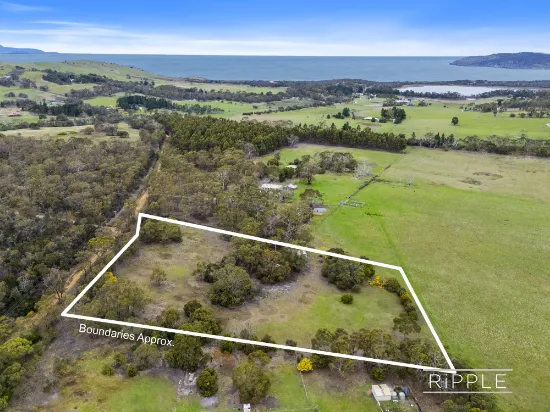 21 Musks Road, Sandford, TAS, 7020