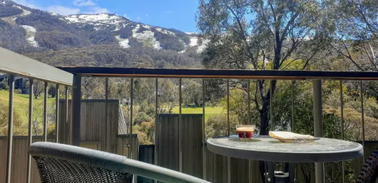 21/Riverside Cabin Diggings Terrace, Kosciuszko National Park, NSW, 2627