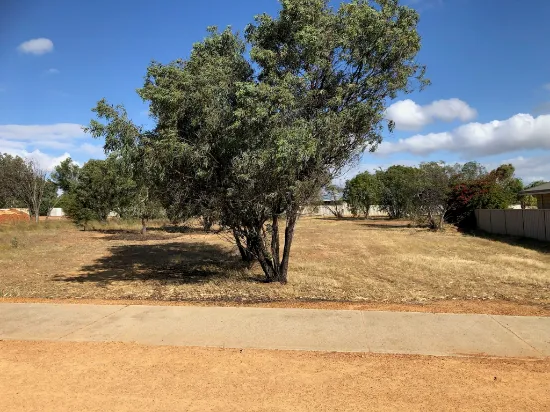 23 Bowen Street, Goomalling, WA, 6460