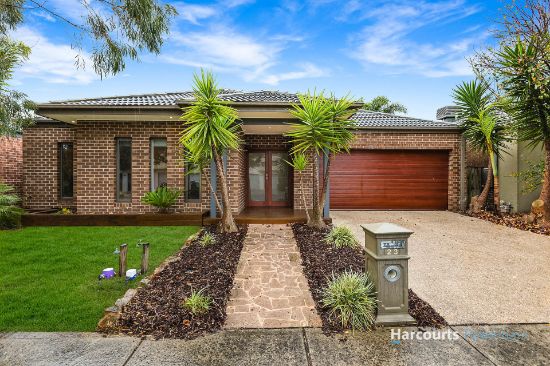 23 Rush Lily Drive, Officer, Vic 3809