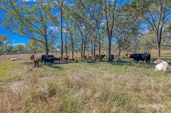 2364 Gin Gin Mount Perry Road, New Moonta, Qld 4671