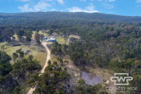 2474 Torrington Road, Torrington, NSW, 2371