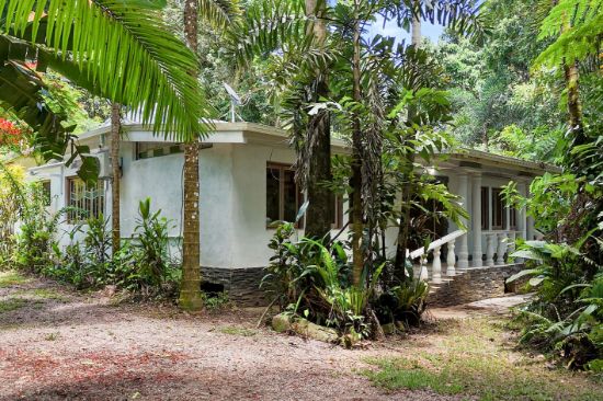 25 Hickory Road, Cow Bay, Daintree, Qld 4873