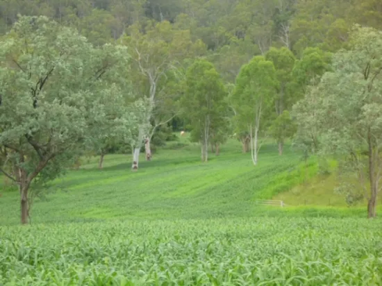 2501 Rocky River Road, Rocky River, NSW, 2372