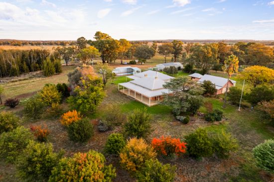 2633 Brooks Rd, Purlewaugh, NSW 2357