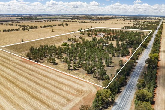 2640 Newell Highway, Grong Grong, NSW 2652
