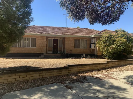 27 Johnston Street, Wongan Hills, WA, 6603