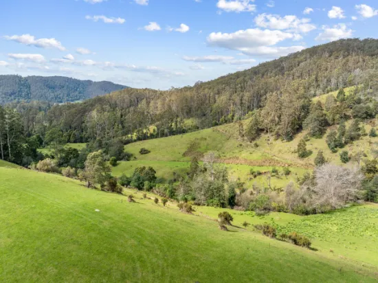 28293 Tasman Highway, Pyengana, TAS, 7216