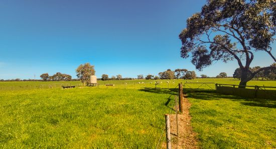 287 Stewarts Range Road, Naracoorte, SA 5271