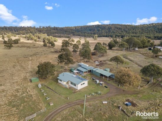 289 New Country Marsh Road, Levendale, Tas 7120