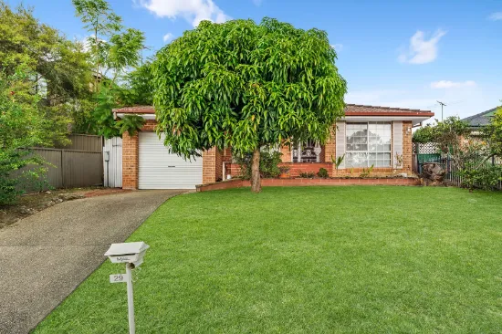 29 Mary Street, Macquarie Fields, NSW, 2564