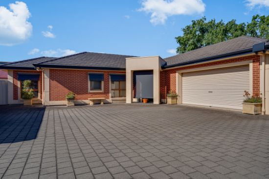 29D Mcshane Street, Campbelltown, SA 5074