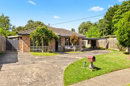 Luciano Marcuzzi - UPPER FERNTREE GULLY - Real Estate Agency