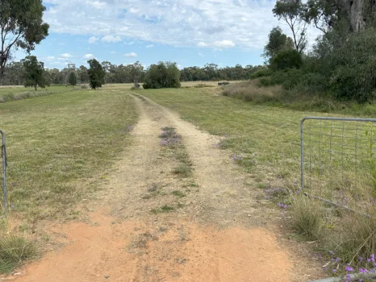 3 Acacia Crescent, Warialda, NSW, 2402