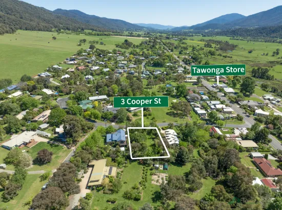 3 Cooper Street, Tawonga, VIC, 3697