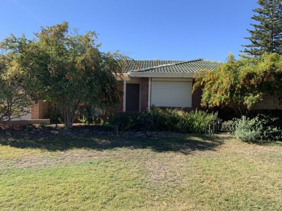 3 Thetis Place, Cooloongup, WA 6168