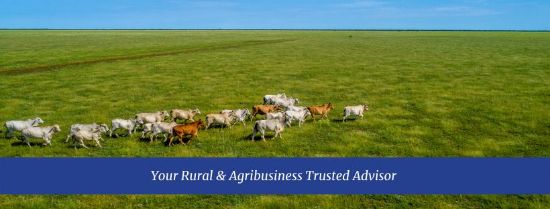 Colliers International - Agribusiness - Real Estate Agency