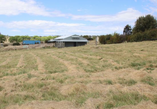 308A Mount Lindesay Road, Tenterfield, NSW 2372