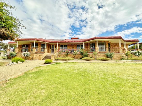339 Pattersons Lane, Young, NSW 2594