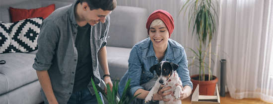 HomeSeeker SA - ADELAIDE - Real Estate Agency