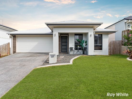 37 Gonula Crescent, Ripley, Qld 4306