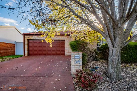 38 Petersilka St, Gungahlin, ACT, 2912