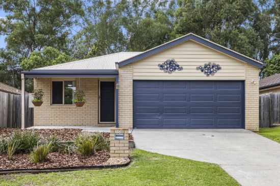 38 Riley Peter Place, Cleveland, Qld 4163