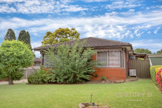 39 Apple Street, Constitution Hill, NSW 2145