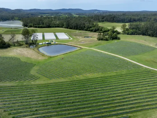 40B Hallgaths Road, Nana Glen, NSW, 2450