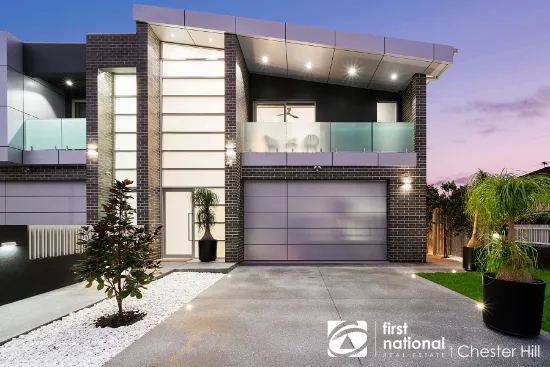 42 Middleton Rd, Chester Hill, NSW, 2162
