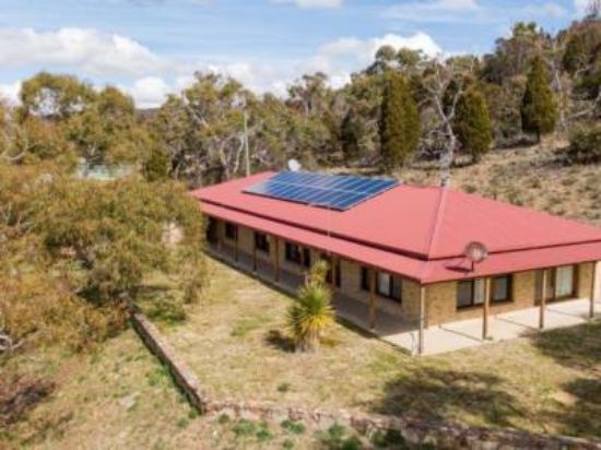 Boller and Company - COOMA - Real Estate Agency