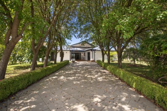 443 Toms Gully Road, Black Mountain, NSW 2365