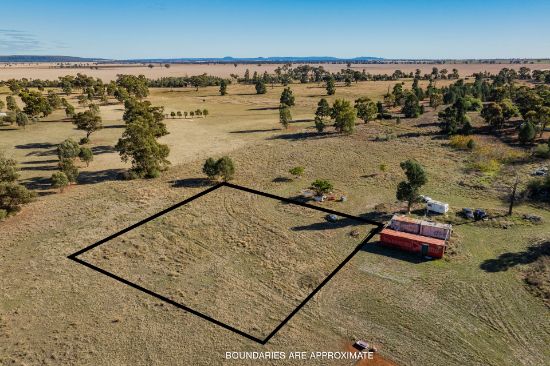 49 Boree Street, Grong Grong, NSW 2652