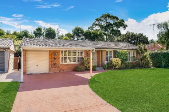 49 Briscoe Crescent, Kings Langley, NSW 2147