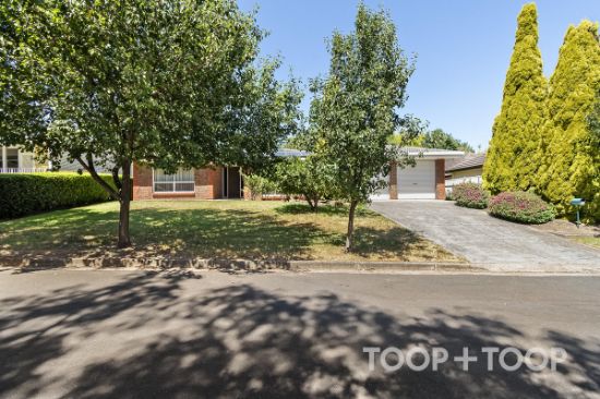 4A Clearview Street, Beaumont, SA 5066