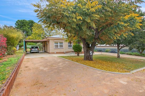 5 Blight Street, Waikerie, SA 5330