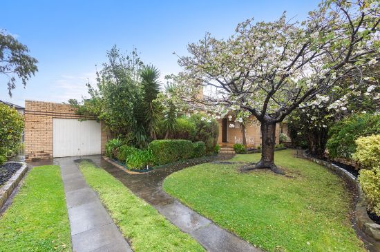 5 Shelford Court, Cheltenham, Vic 3192