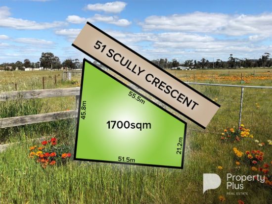 51 Scully Crescent, Korong Vale, Vic 3520
