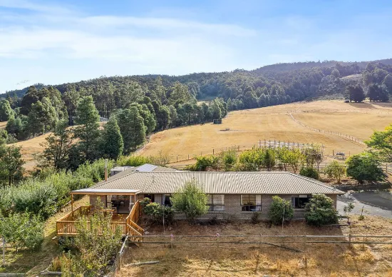 53 Bennetts Road, Mountain River, TAS, 7109