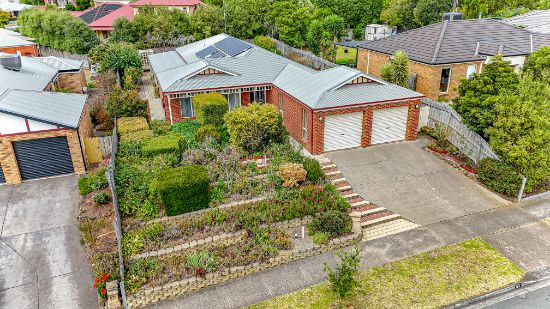 53 Rossack Drive, Grovedale, Vic 3216