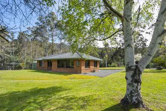 535 Mountain River Rd, Mountain River, TAS, 7109