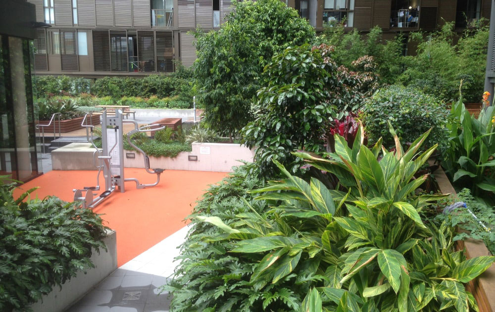 Landscape Architecture by Sturt Noble