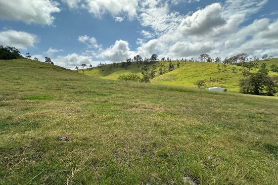 5555 Parks Creek Road, East Gresford, NSW 2311
