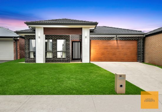 56 Albert Drive, Melton South, Vic 3338