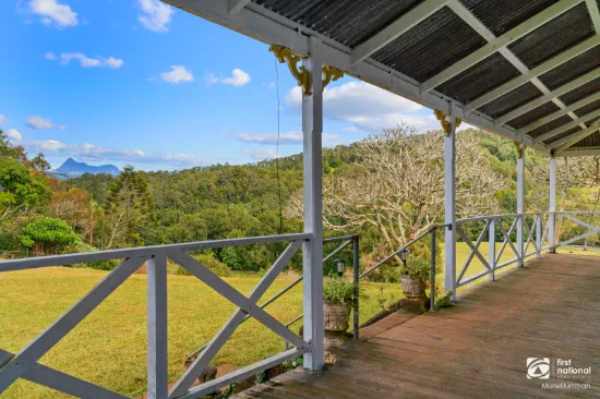 584 Nobbys Creek Road, Nobbys Creek, NSW, 2484