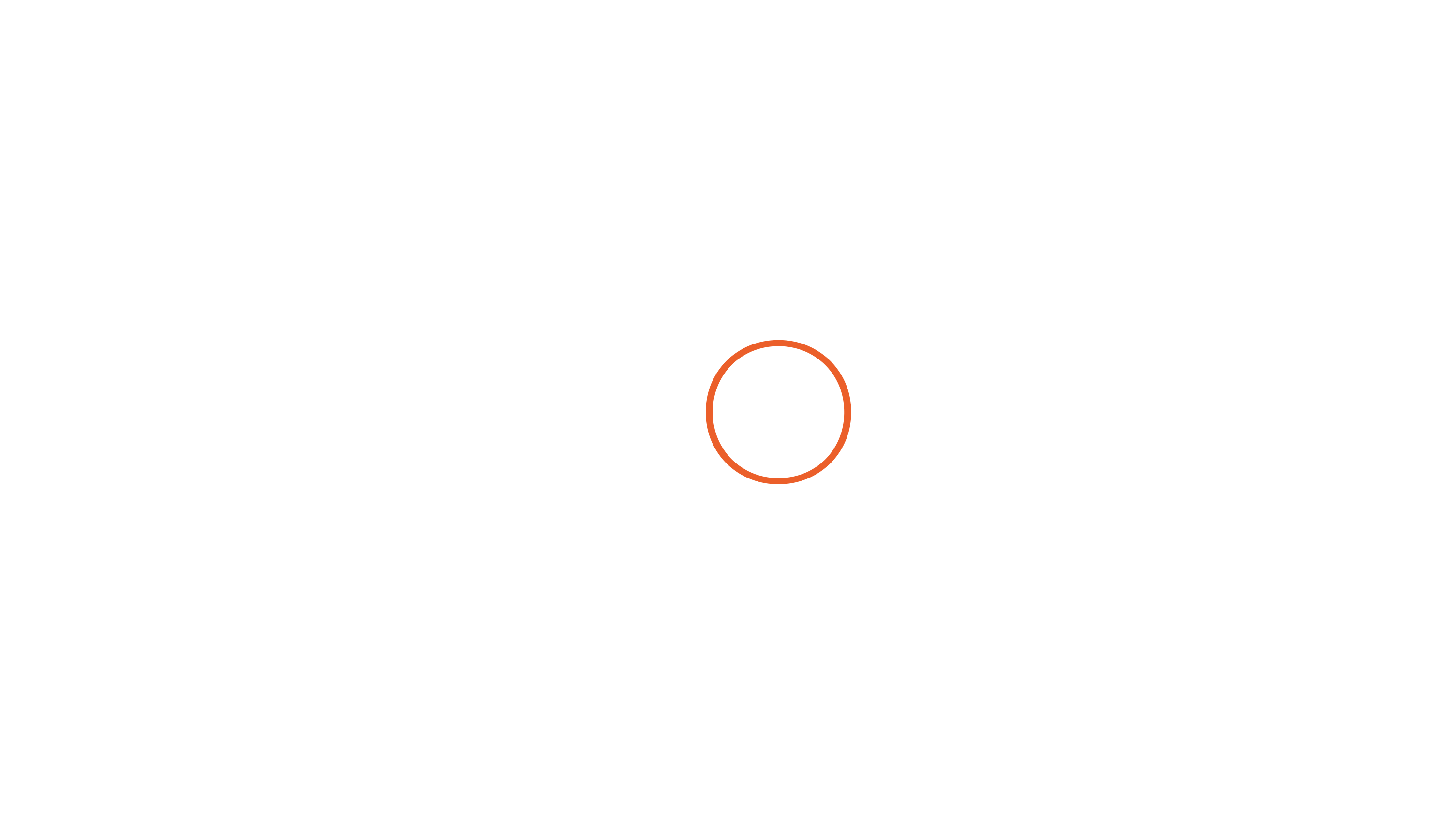 Ion Real Estate