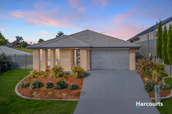 62 Laurie Drive, Raworth, NSW 2321