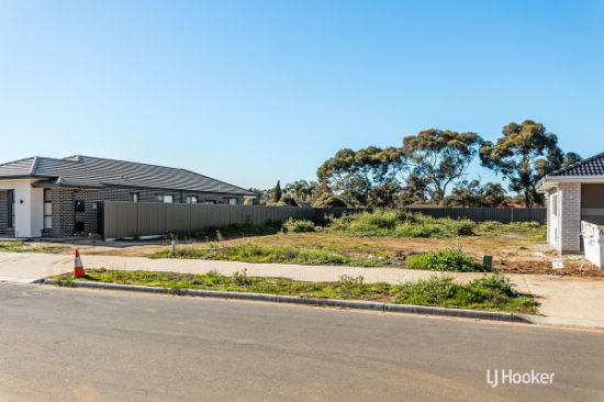 63 Corkwood Circuit, Andrews Farm, SA 5114